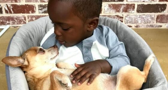 Marcelo and mini in chair 2 849x540 1