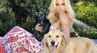Pamela Anderson Moonlights as Dog Walker 2 Pamela Anderson