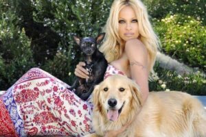 Read more about the article Pamela Anderson Moonlights as Dog Walker