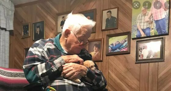 82 Year old Amputee gets new puppy after losing Chihuahua