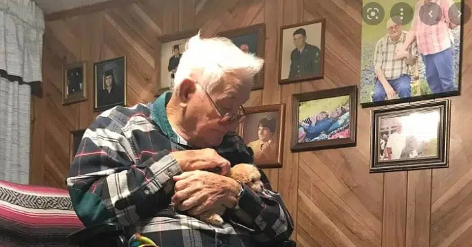 82 Year old Amputee gets new puppy after losing Chihuahua