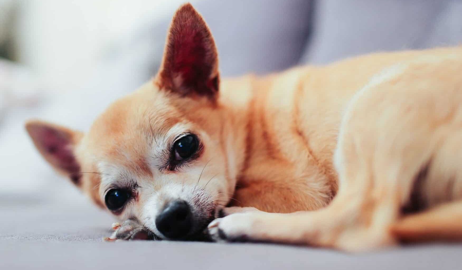 alicia gauthier KJDhTtPCveI unsplash e1568667211757