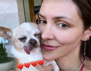 Read more about the article Katharine McPhee Mourns Chihuahua