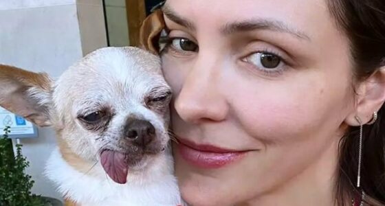 Katherine Mcphee and Chihuahua
