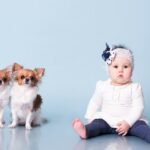 Chihuahuas And Babies: 5 Risks You Should Be Aware Of