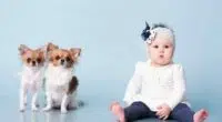 stock photo animal dog child girl pet baby play kid friend f140c20a e0d6 44d1 86b1 098dc79e2c8f e1656337468239