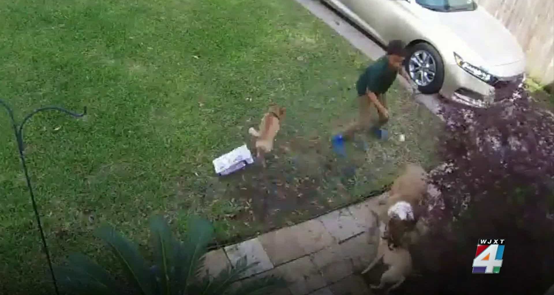 t 172f58176b54412cb5c1d816f840ab7f name image