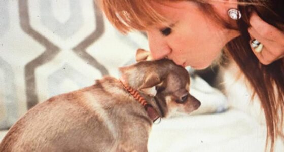 unleashed jill zarin ginger