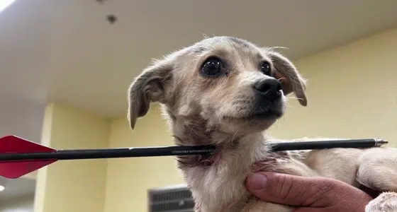 vlcsnap 2022 05 23 17h57m58s997