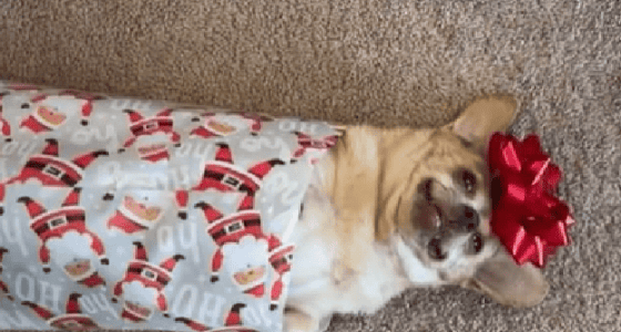 1200x628 template 2021 12 18T125133.401 e1658142562775