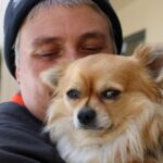 ‘He is our dog’: The bizarre backstory behind Louis the stolen chihuahua