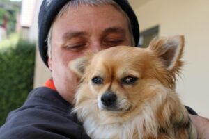 Read more about the article ‘He is our dog’: The bizarre backstory behind Louis the stolen chihuahua