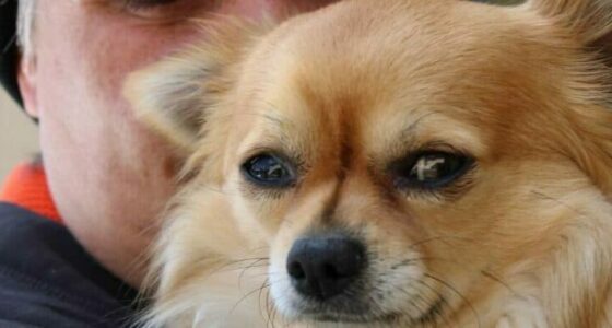 1639455817489 e1658236406465