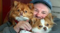 Timaru Group Bonds over Love of Chihuahuas 2 1652334326723