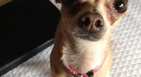 2f90eb16aae9ef66040f19eae3fc3a73