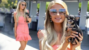 Read more about the article Video of Paris Hilton ‘Lying’ to Her Chihuahua