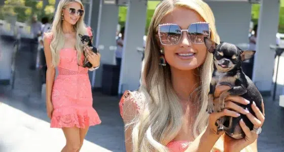 Paris Hilton lying to her dog