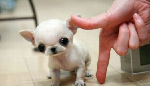 4bfb5d8fa28e2efd0718eb3e6c5a6fdb