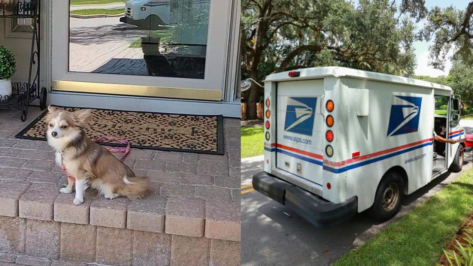 Frannie and postman Dan