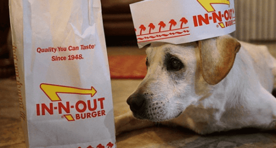 bdfjqOrMKxVPgxPeoXIfd2q7ukwT0 Yey1gR7kgTtO8