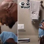 Dad Gently Washes The Tiny Chihuahua He Didn’t Want While Whispering “I Love You.”