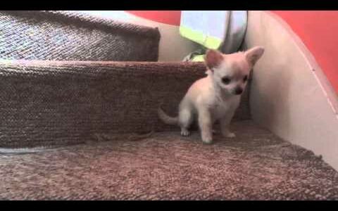 hqdefault 3 e1658925903354