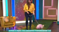 This Morning's Chihuahua Fashion Show Descends Into Chaos as Dog Flees Studio 2 ob2fanbs 720 1