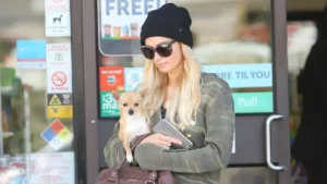 Read more about the article Paris Hilton Devastated Over Tinkerbell Death