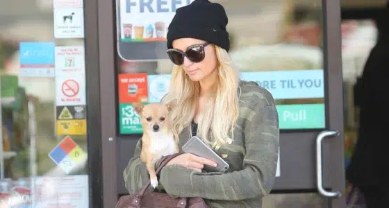 paris hilton tinkerbell