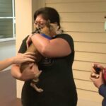 Stolen Dog Shows Up in Florida 6 Years After He Went Missing in Texas