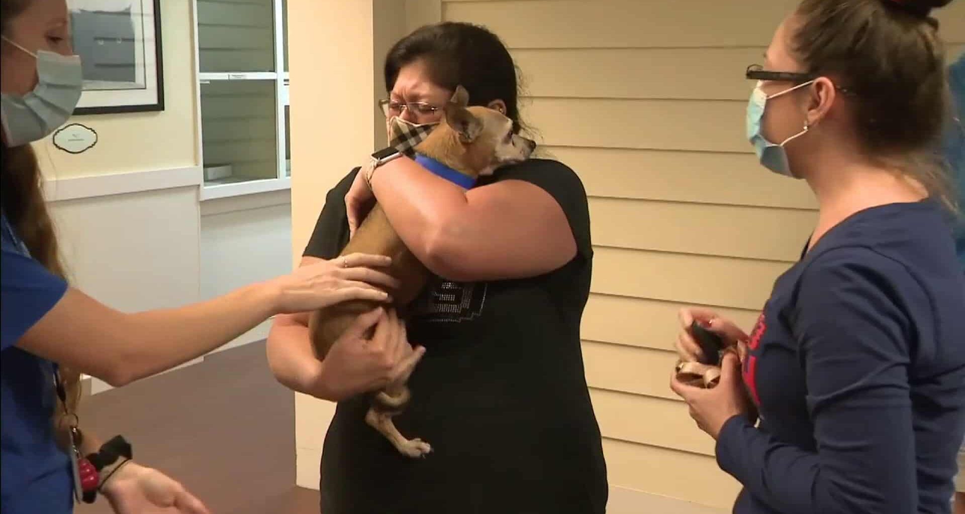 3FJWVEP7OBGGNKKEDJJA774TLU