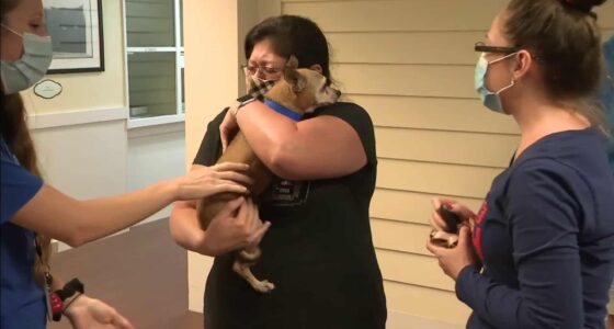 3FJWVEP7OBGGNKKEDJJA774TLU