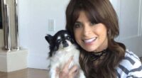 Paula Abdul Mourns Her 2 Dogs: I'm Missing a Piece Of My Heart' 2 DTPNRKEMGJBEDK6BGXWOWL7FPA