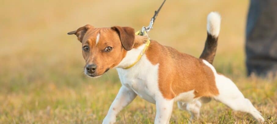 JR pulling 2 1080x590 1 e1660652317578