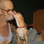 Veteran Diagnosed With Cancer Reunited With Lost Chihuahua