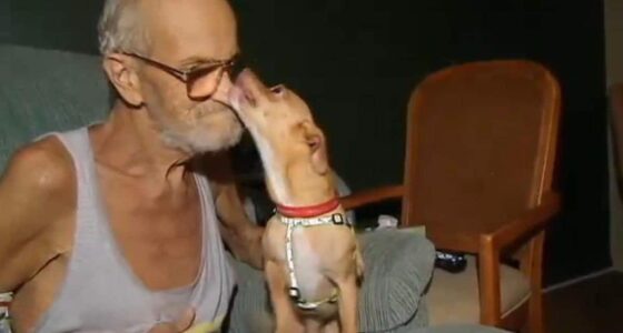 NJFT4GS4ESLHNEJXWYOMWPVDRI