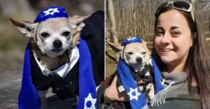 Read more about the article This 13-Year-Old Chi has his Own Bar Mitzvah