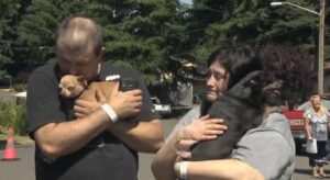 Read more about the article Chihuahua That Saved Family From House Fire is Rescued