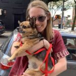 Dognapper Steals Chi on Saturday, Owner Gets Him Back by Sunday