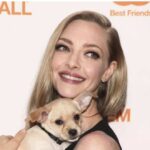 The Dog-Adoring Amanda Seyfried Fell in Love with this Chi-Mix