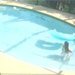 Woman Accused of Drowning Chihuahua in Swimming Pool