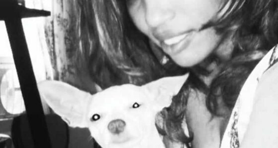 UUE2C7YNVBZ7D34SZGRXHWYX5M 1