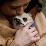 This Woman Takes End-of-Life Pictures for Euthanized Pets