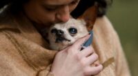 This Woman Takes End-of-Life Pictures for Euthanized Pets 2 image 12