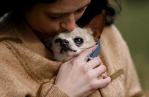 Read more about the article This Woman Takes End-of-Life Pictures for Euthanized Pets