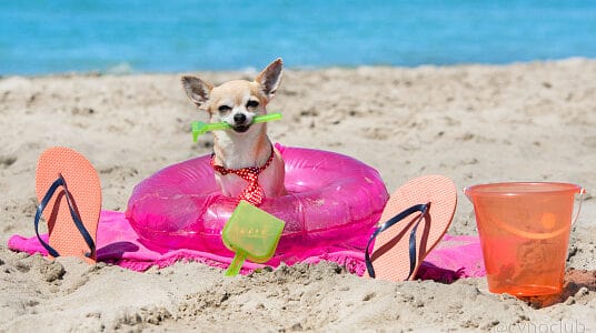 istockphoto 541142292 170667a e1659429288545