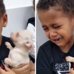 Little Boy Can’t Stop Tears from Pup’s Cuteness