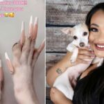 Woman Accused of Animal Abuse After Posting Chihuahua’s Acrylic Nails