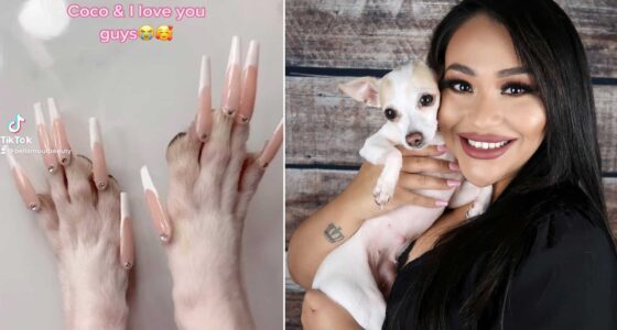 41537634 0 image a 194 1617965553352