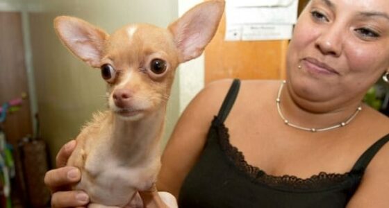 489BBC8A00000578 0 image a 1 1516988021640 4